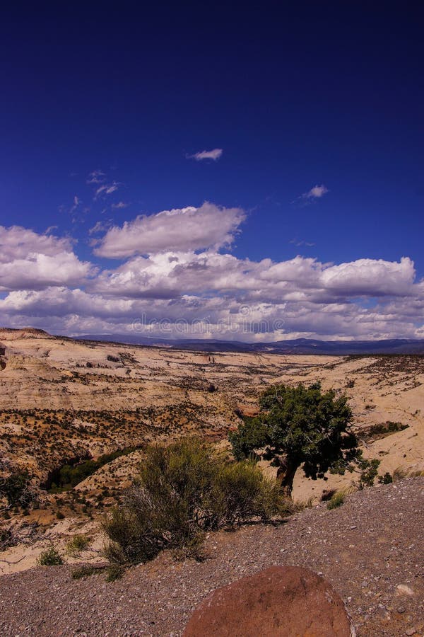 Bad-lands et canyons de grès photo stock