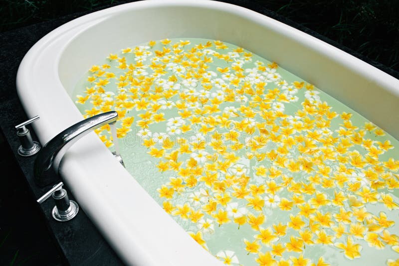 Bad med gula blommor i vändkretsar arkivbilder Bad med gula blommor i vändkretsar arkivbilder