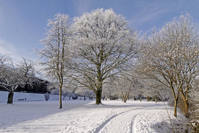 Badekurortpark Im Winter Falsches Rothenfelde Deutschland Stockbild Bild von breitbl 228 ttrig 