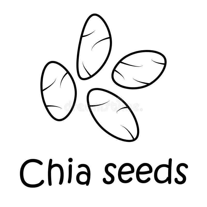 Badge Chia Seeds with the Inscription. Stock Vector Illustration of