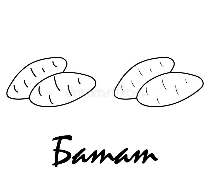 Badge Sweet Potato with the Inscription "sweet Potato" in Russian