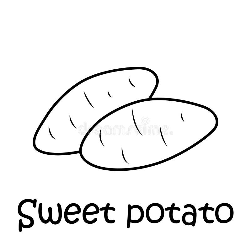 Sweet Potato Coloring Stock Illustrations 63 Sweet Potato Coloring