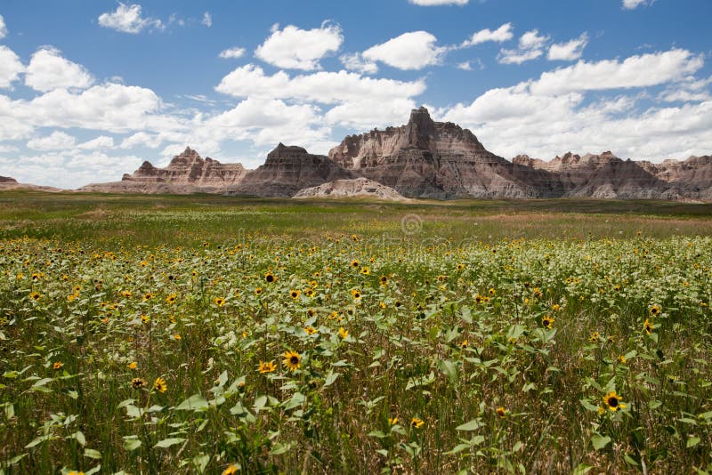 Badlands National Park royalty free stock images