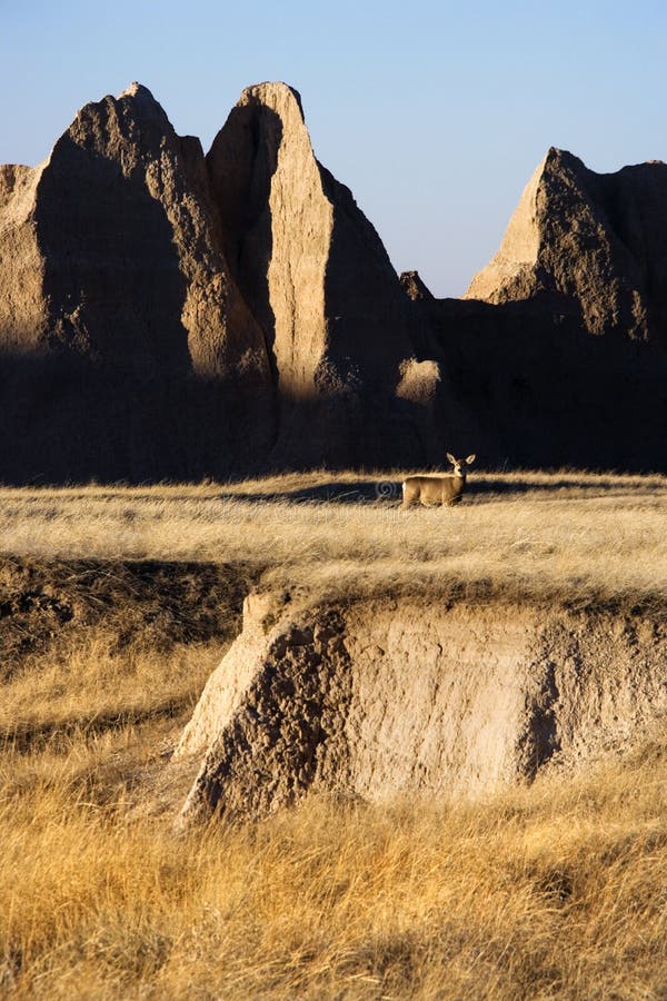 Badlands, South Dakota. stock image. Image of outdoors 3420887