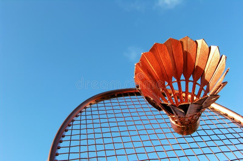 Badminton Action