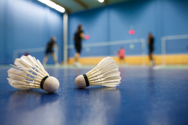 Badminton Courts with Players and Shuttlecocks Stock Image Image of