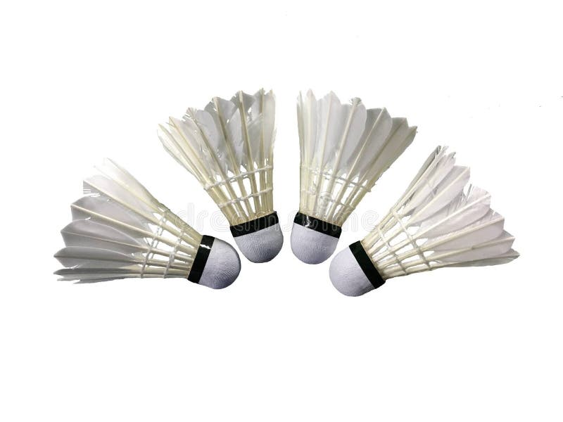 Badmintonverenshuttlecocks in Lentbloemen Stock Foto Image of vers