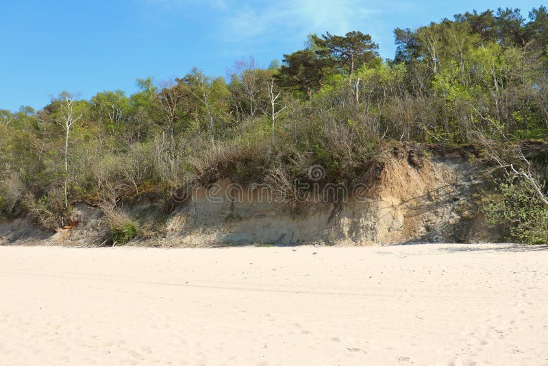Badsanddyner och utrustning med träd. Den baltiska kusten, en stranddyna och en sluttning med träd och bakom skogen allt detta på en vacker solig dag