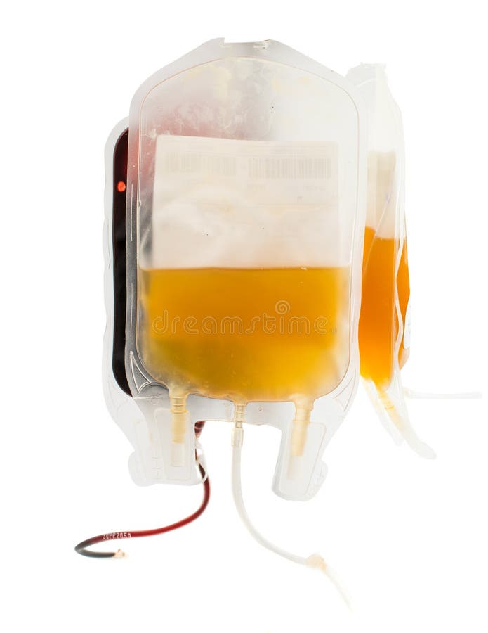 Frozen blood plasma bag - Stock Image - C036/0726 - Science Photo Library
