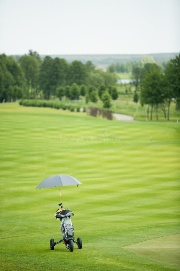 Bag with Golf Clubs and Umbrella Stock Photo Image of play, green
