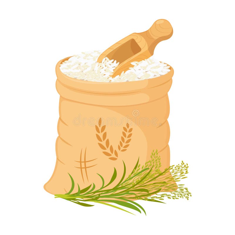 Share 82+ rice bag design vector latest - esthdonghoadian