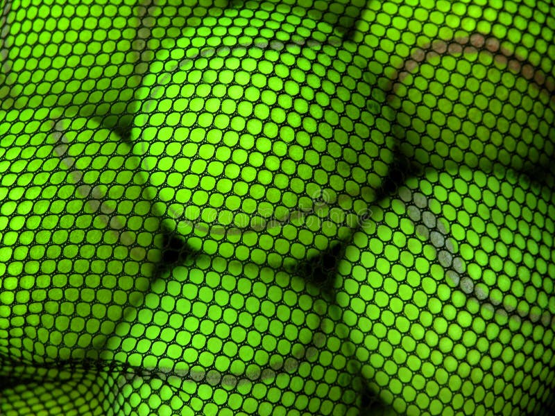 A bag of tennis balls stock photo. Image of match, sports 1102710