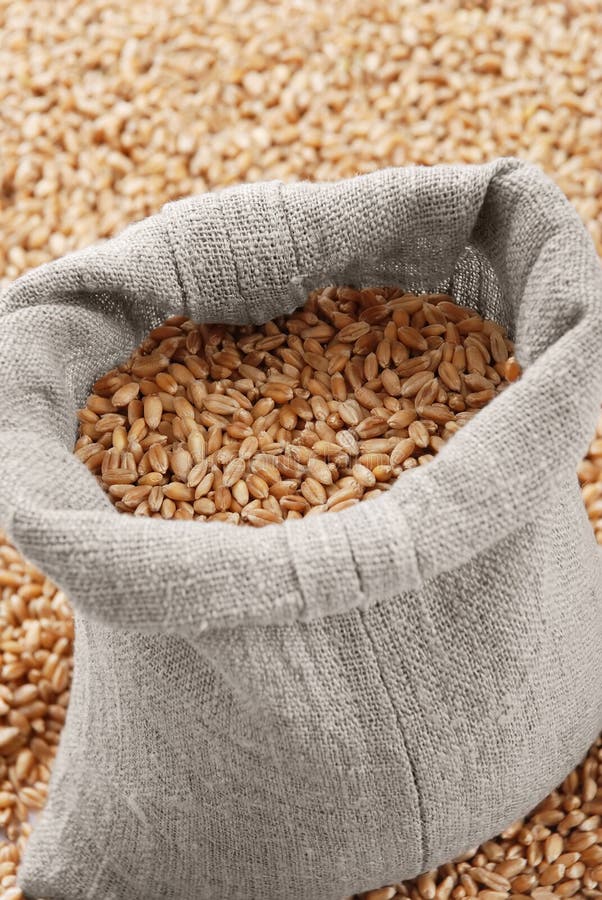 Wheat and the Scattered Bag with a Grain Stock Image Image of