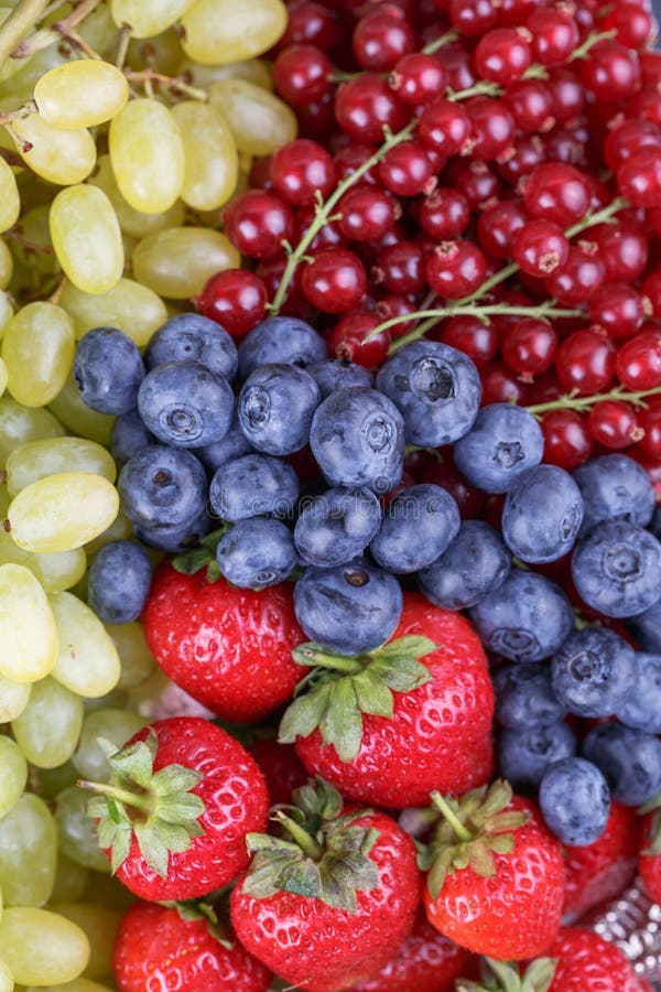 Frutos vermelhos e uvas foto de stock royalty free