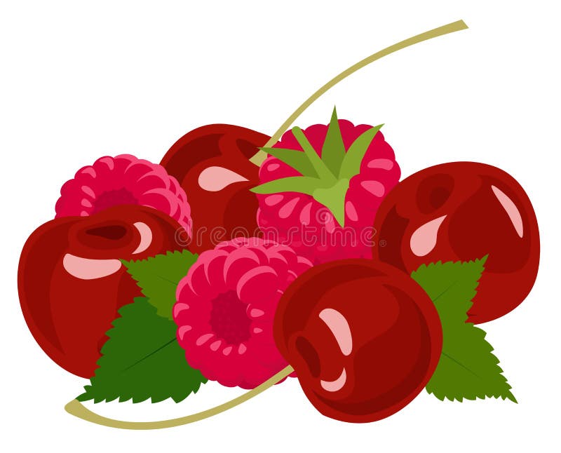 bagas Framboesa e cereja no branco Ilustra??o do vetor ilustração stock bagas Framboesa e cereja no branco Ilustra??o do vetor ilustração stock