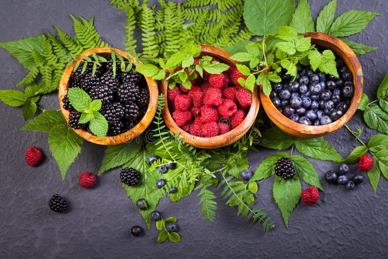 Bagas recentemente classificadas na bacia de madeira Blueber suculento e fresco foto de stock royalty free