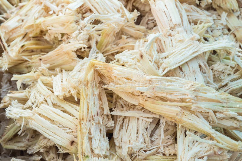 Bagasse stock photo. Image of sweet, stem, sugar, nature 21373344