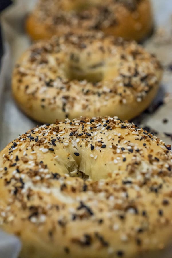 Bagel americano fresco fotografie stock libere da diritti Bagel americano fresco fotografie stock libere da diritti