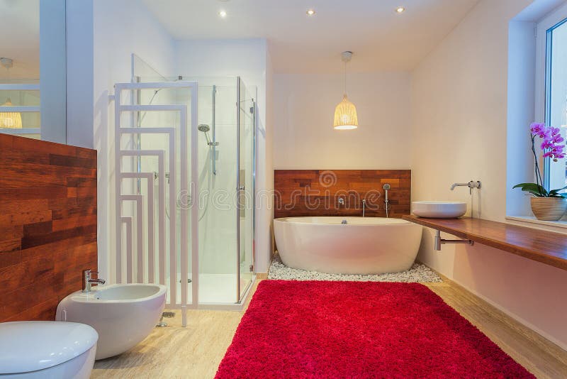 Modern bathroom with red cozy carpet. Modern bathroom with red cozy carpet