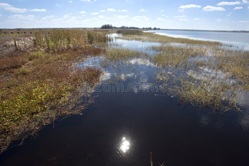 Lake Tohopekaliga at Twin Oaks Conservation Area in St. Cloud, Florida, with abundant marsh wildlife habitat. Lake Tohopekaliga at Twin Oaks Conservation Area in St. Cloud, Florida, with abundant marsh wildlife habitat.