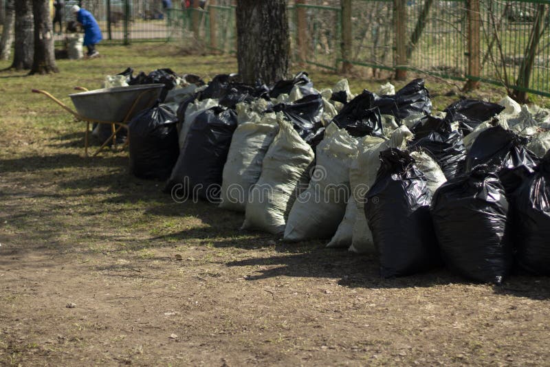 Yard Waste Bags Three Stock Photo - Download Image Now - Garbage