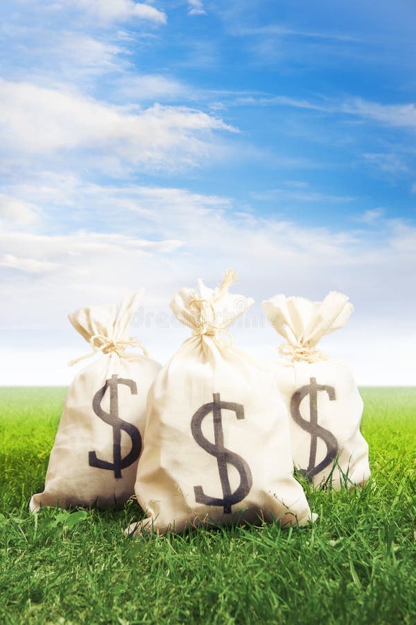 Bags Full of Money on Grass Stock Image Image of price, sacks 29715179