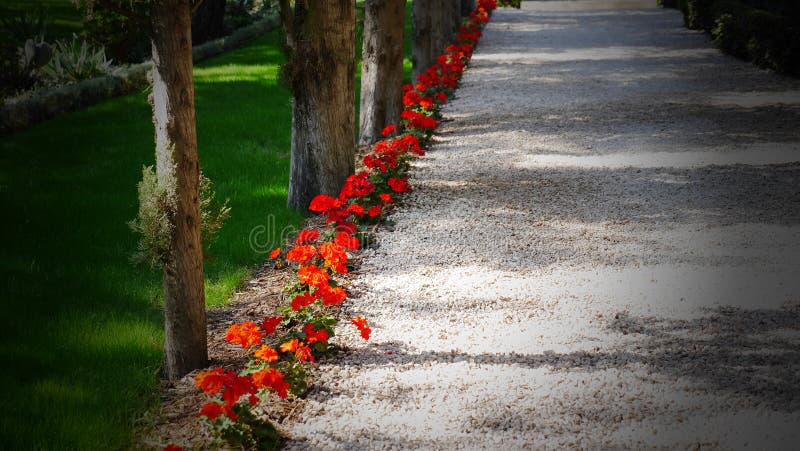 Giardini Bahá'í a Haifa, Israele fotografia stock libera da diritti