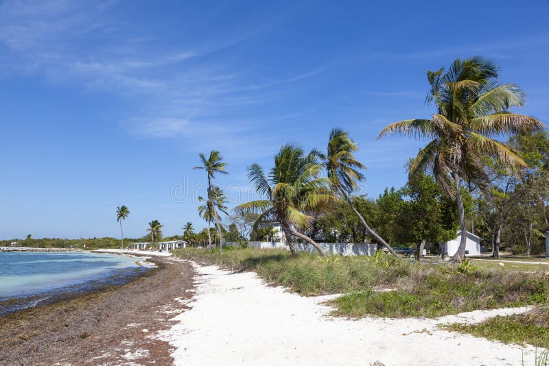 Beautiful white sand beach at the Bahia Honda key state park. Florida Keys, United States. Beautiful white sand beach at the Bahia Honda key state park. Florida Keys, United States