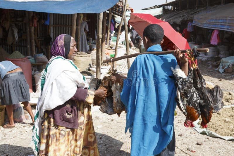 Bahir Dar, Etiopía, el 14 de febrero de 2015: Una mujer compra en un mercado un pollo de un distribuidor autorizado foto de archivo Bahir Dar, Etiopía, el 14 de febrero de 2015: Una mujer compra en un mercado un pollo de un distribuidor autorizado foto de archivo