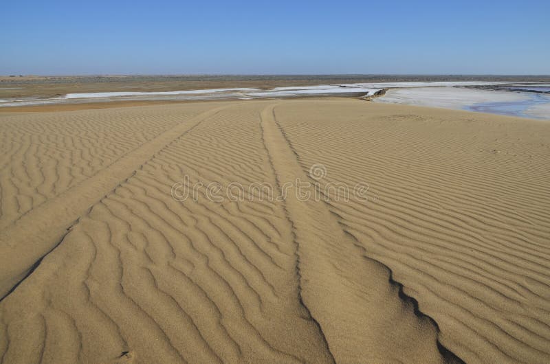 Bahnen auf einer Sanddüne. stockbild Bahnen auf einer Sanddüne. stockbild