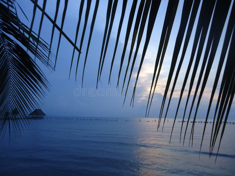 Cloudy sunset among palm trees at beach in Amatique bay, Izabal. Travel in Guatemala. blue landscape. Cloudy sunset among palm trees at beach in Amatique bay, Izabal. Travel in Guatemala. blue landscape