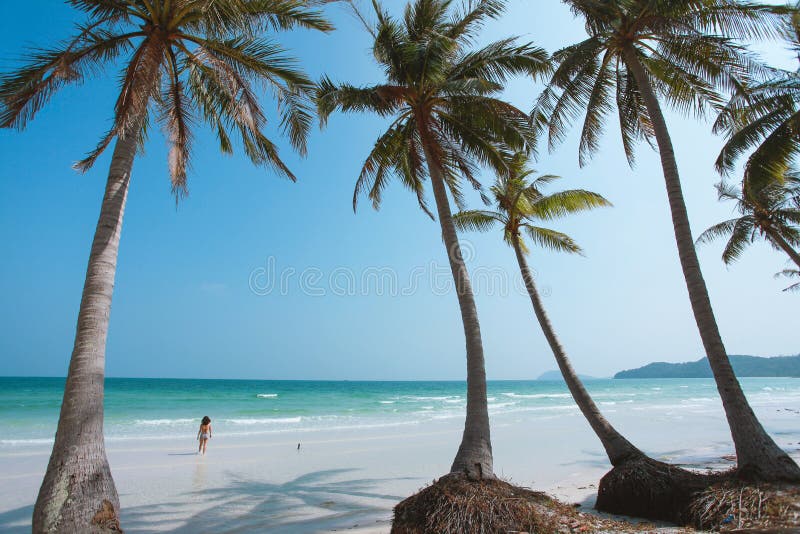 Bai Sao Beach in Insel Phu Quoc, Vietnam lizenzfreies stockfoto Bai Sao Beach in Insel Phu Quoc, Vietnam lizenzfreies stockfoto