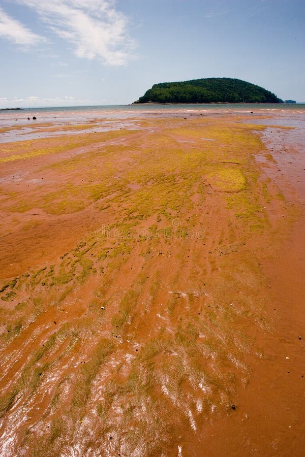Baia di Fundy immagine stock Baia di Fundy immagine stock