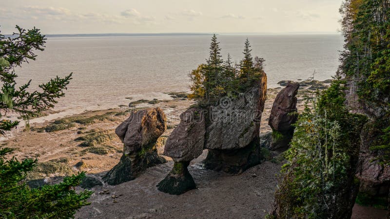 Baia di Fundy nel Canada orientale immagine stock Baia di Fundy nel Canada orientale immagine stock