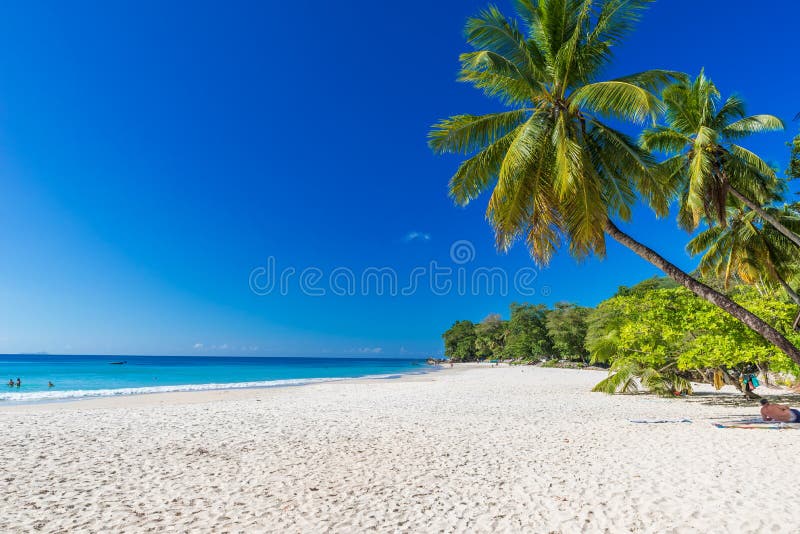 Baie Beau Vallon - παραλία παραδείσου στο νησί Mahe - όμορφη ακτή των Σεϋχελλών στοκ φωτογραφία με δικαίωμα ελεύθερης χρήσης