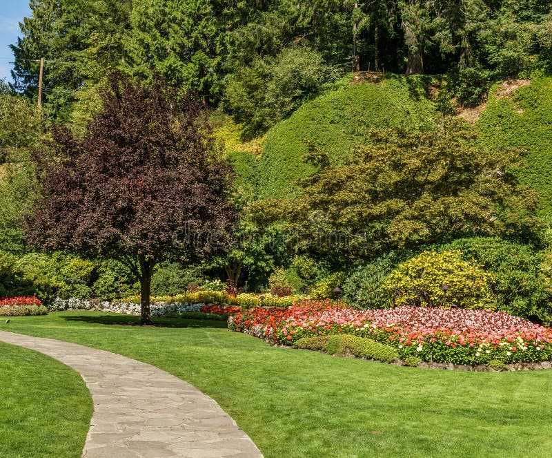 Baie de Brentwood, CANADA - 1er septembre 2018 : Paysage neutre de jardin décoratif vert avec le champ vert images libres de droits Baie de Brentwood, CANADA - 1er septembre 2018 : Paysage neutre de jardin décoratif vert avec le champ vert images libres de droits