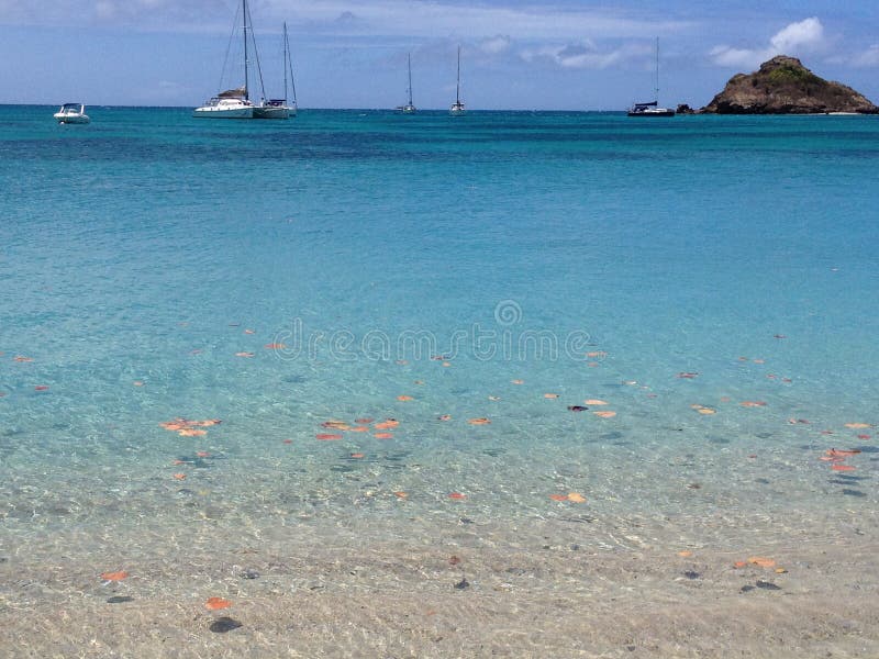 Baie profonde, Antigua images stock Baie profonde, Antigua images stock