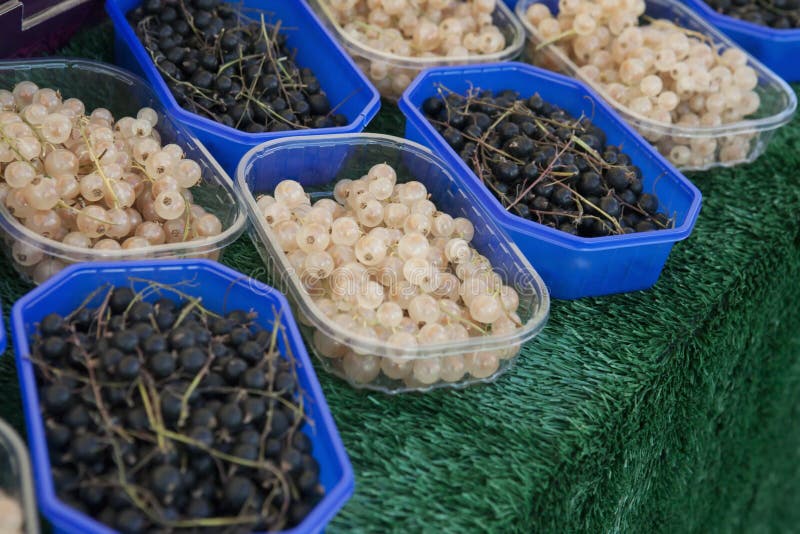 Black and white berries sold on a market. Black and white berries sold on a market