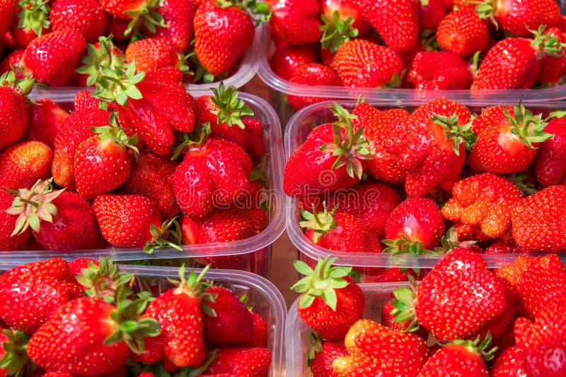 Baies juteuses savoureuses de fraise dans des boîtes images libres de droits Baies juteuses savoureuses de fraise dans des boîtes images libres de droits