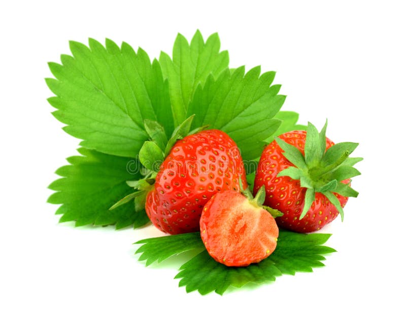 Baies rouges d'une fraise avec des feuilles, d'isolement photos stock Baies rouges d'une fraise avec des feuilles, d'isolement photos stock