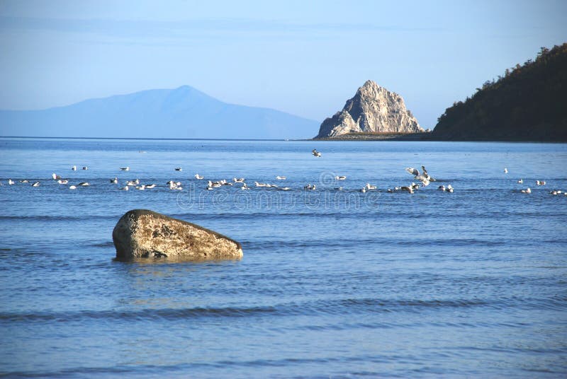 Baikal - a charming lake, resembling in form a crescent moon, one of the most favorite destinations for thousands of tourists from around the world. Many of them, planning to vacation on the lake, do not realize that these places are the repository of some 20% of the world`s fresh water. Located on the lake of the continent of Eurasia, in the spacious mountain area. Lake Baikal is surrounded by dozens, hundreds of small rivers that support its huge size, but the main among them is the river called Selenga, that it plays a major role in the life of the lake. The water of Lake Baikal is famous for its clarity and purity. It is saturated with oxygen, so many years ago it was considered curative and serves as the basis in treatment of many diseases. Baikal - a charming lake, resembling in form a crescent moon, one of the most favorite destinations for thousands of tourists from around the world. Many of them, planning to vacation on the lake, do not realize that these places are the repository of some 20% of the world`s fresh water. Located on the lake of the continent of Eurasia, in the spacious mountain area. Lake Baikal is surrounded by dozens, hundreds of small rivers that support its huge size, but the main among them is the river called Selenga, that it plays a major role in the life of the lake. The water of Lake Baikal is famous for its clarity and purity. It is saturated with oxygen, so many years ago it was considered curative and serves as the basis in treatment of many diseases