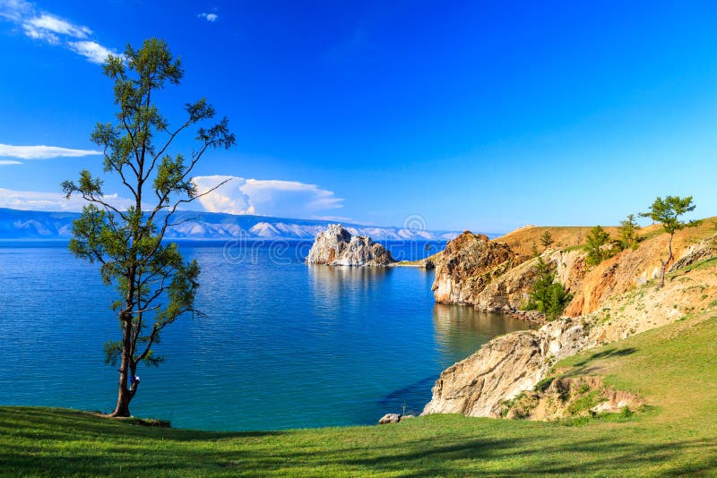 Baikal λίμνη δέντρο πεδίων στοκ φωτογραφία με δικαίωμα ελεύθερης χρήσης
