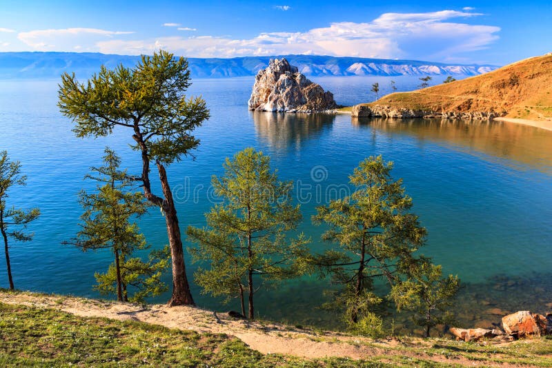 Baikal λίμνη δέντρο πεδίων στοκ φωτογραφία