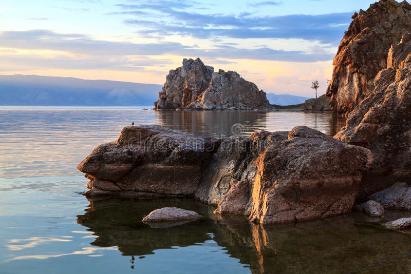 Baikal λίμνη δέντρο πεδίων στοκ φωτογραφία με δικαίωμα ελεύθερης χρήσης