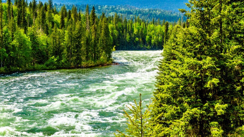 View of the rapids in Bailey`s Chute, a narrow section in the swollen Clearwater River, in Wells Gray Provincial Park in the Cariboo Mountains of British Columbia, Canada. View of the rapids in Bailey`s Chute, a narrow section in the swollen Clearwater River, in Wells Gray Provincial Park in the Cariboo Mountains of British Columbia, Canada