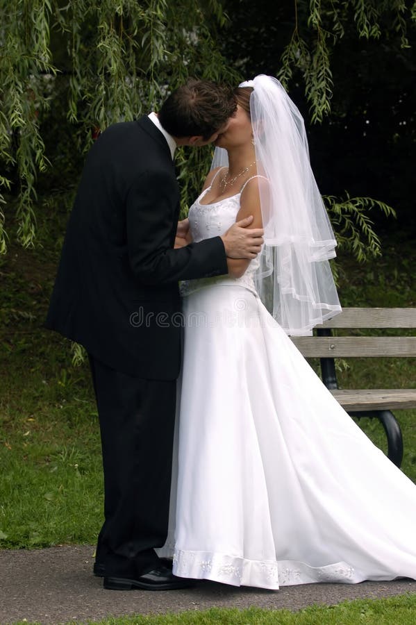 Baisers de mariée et de marié photographie stock libre de droits Baisers de mariée et de marié photographie stock libre de droits