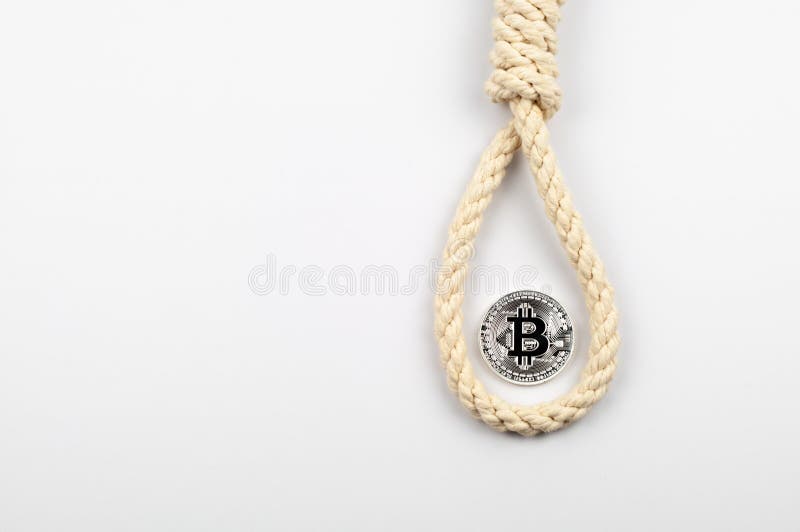 Bitcoin decline, falling bitcoin, the concept of a symbol of a coin in a loop of rope, financial death, problems with cryptocurrency, white background. Bitcoin decline, falling bitcoin, the concept of a symbol of a coin in a loop of rope, financial death, problems with cryptocurrency, white background