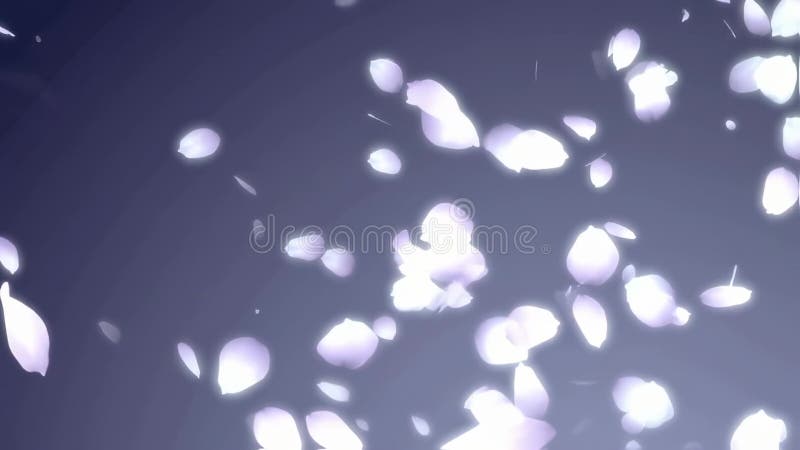 Baisse des fleurs de cerisiers illustration de vecteur