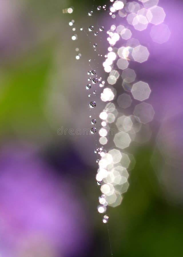 Water drops and sunlight reflections. Water drops and sunlight reflections