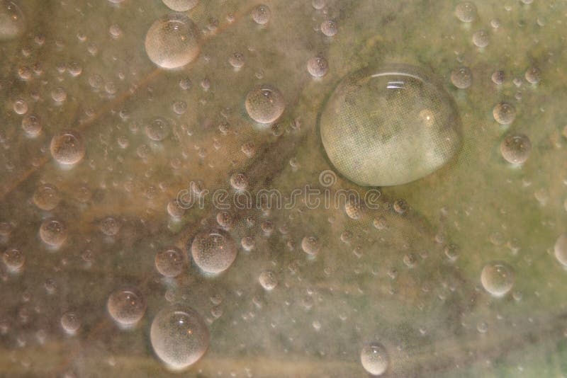 Baisses de l'eau de fond image stock Baisses de l'eau de fond image stock